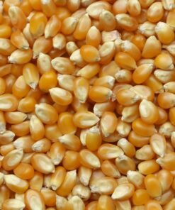 AGRICULTURE
